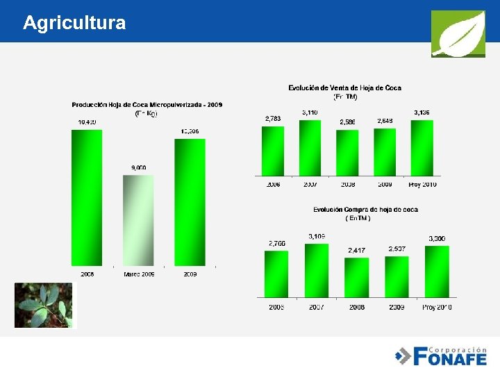 Agricultura 