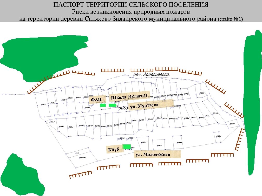 ПАСПОРТ ТЕРРИТОРИИ СЕЛЬСКОГО ПОСЕЛЕНИЯ Риски возникновения природных пожаров на территории деревни Саляхово Зилаирского муниципального