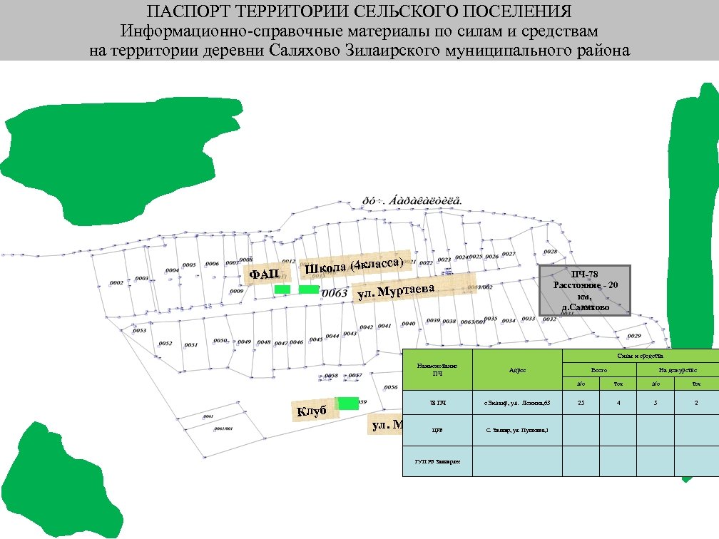 ПАСПОРТ ТЕРРИТОРИИ СЕЛЬСКОГО ПОСЕЛЕНИЯ Информационно-справочные материалы по силам и средствам на территории деревни Саляхово