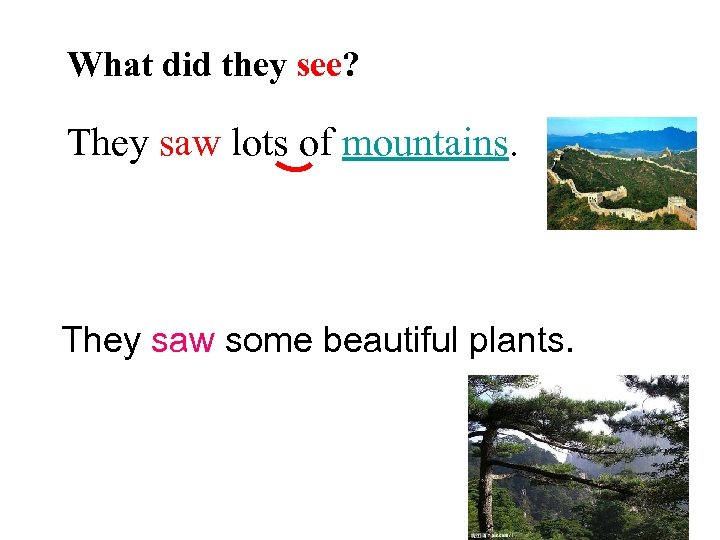 What did they see? They saw lots of mountains. They saw some beautiful plants.