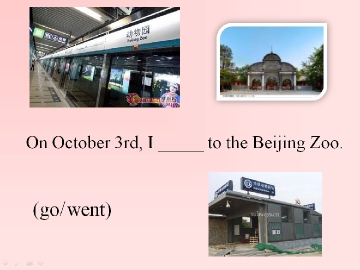 I ____ lots of animals. ( saw/see) 