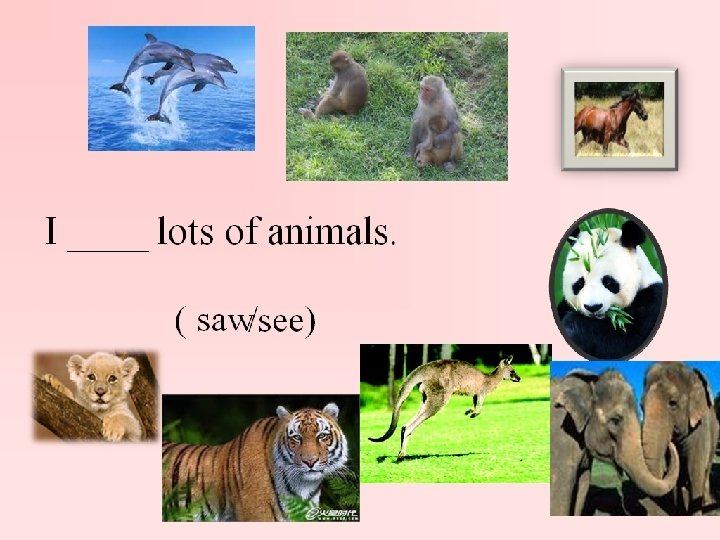 I ____ some pizza and oranges. (eat / ate ) 