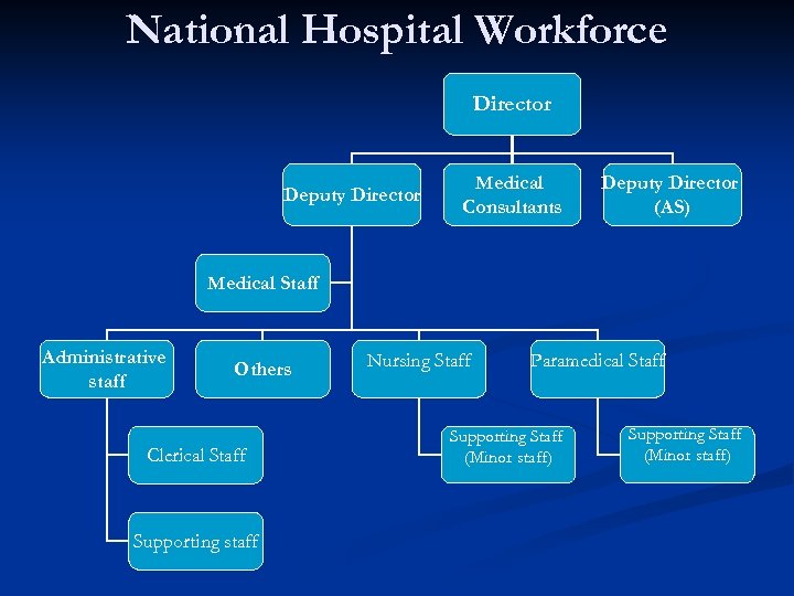 National Hospital Workforce Director Deputy Director Medical Consultants Deputy Director (AS) Medical Staff Administrative