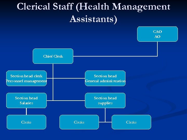 Clerical Staff (Health Management Assistants) CAO AO Chief Clerk Section head clerk Personnel management