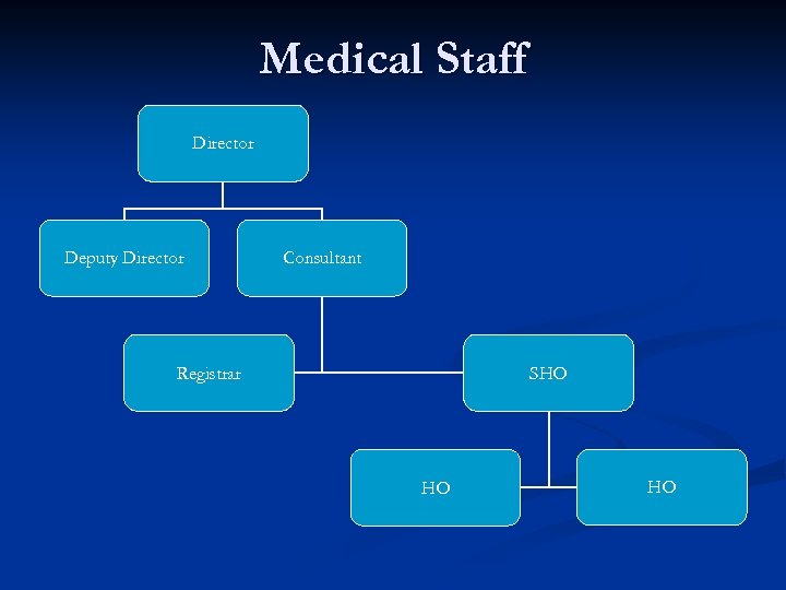 Medical Staff Director Deputy Director Consultant Registrar SHO HO HO 