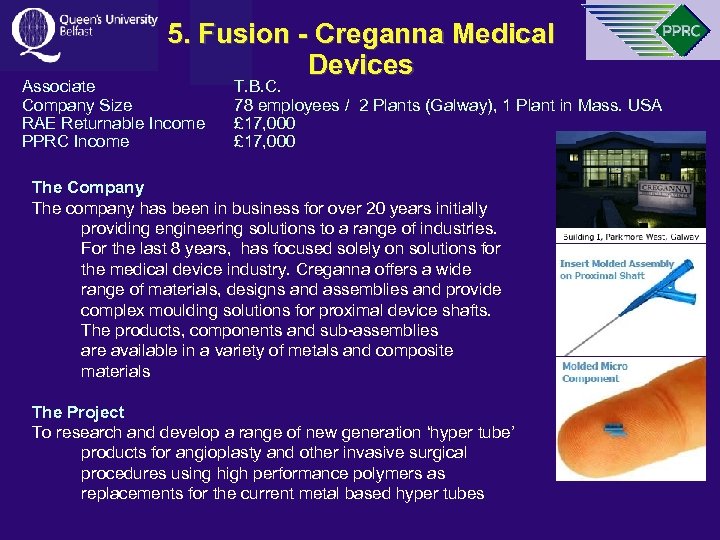 5. Fusion - Creganna Medical Devices Associate Company Size RAE Returnable Income PPRC Income