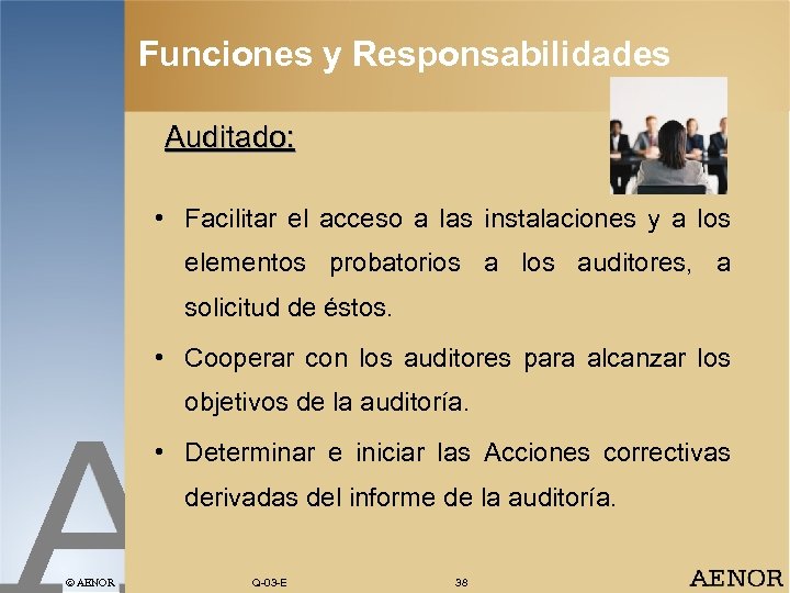 Funciones y Responsabilidades Auditado: • Facilitar el acceso a las instalaciones y a los