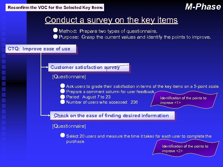 M-Phase Reconfirm the VOC for the Selected Key Items Conduct a survey on the