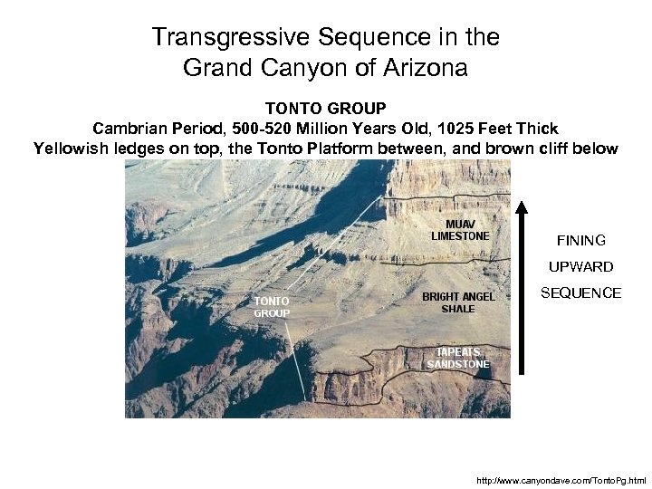 Transgressive Sequence in the Grand Canyon of Arizona TONTO GROUP Cambrian Period, 500 -520