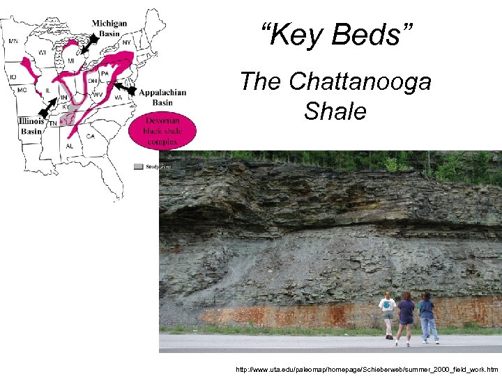 “Key Beds” The Chattanooga Shale http: //www. uta. edu/paleomap/homepage/Schieberweb/summer_2000_field_work. htm 