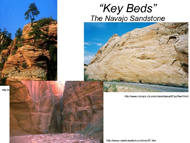 “Key Beds” The Navajo Sandstone http: //www. mines. utah. edu/geo/about_ES/Geology/Zion. GIFS/Xbed. SS. html http: