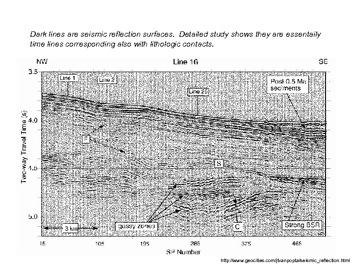 Dark lines are seismic reflection surfaces. Detailed study shows they are essentaily time lines