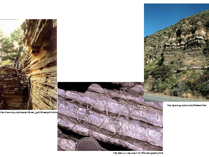 http: //geology. sdsmt. edu/Stratsed. htm http: //www. sju. edu/research/bear_gulch/beargulch. shtml http: //jan. ucc. nau.