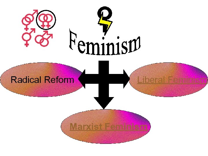 Radical Reform Liberal Feminism Marxist Feminism 