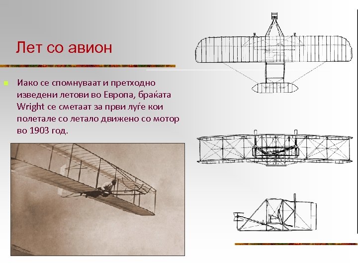 Лет со авион n Иако се спомнуваат и претходно изведени летови во Европа, браќата