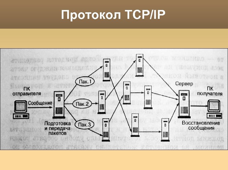 Протокол TCP/IP 