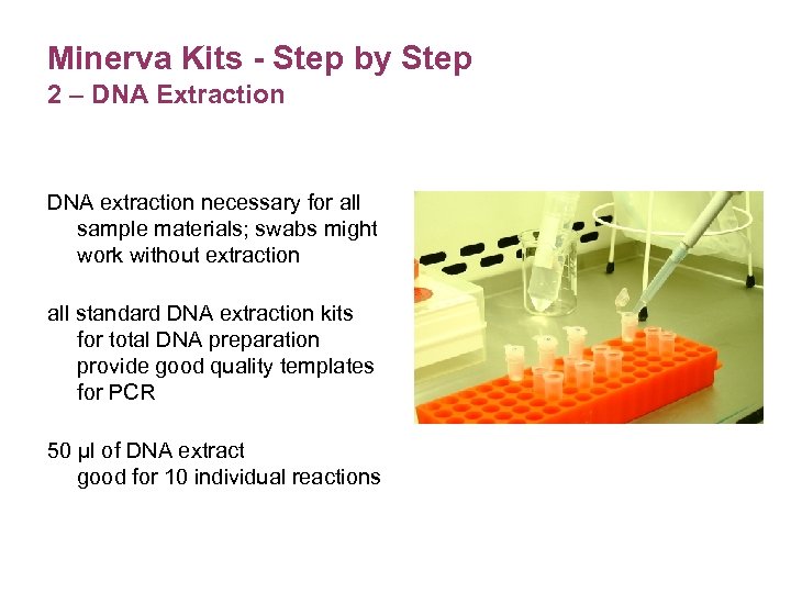 Minerva Kits - Step by Step 2 – DNA Extraction DNA extraction necessary for