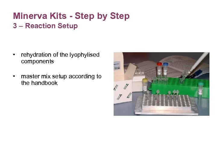 Minerva Kits - Step by Step 3 – Reaction Setup • rehydration of the