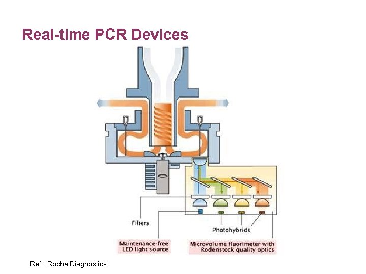 Real-time PCR Devices Ref. : Roche Diagnostics 