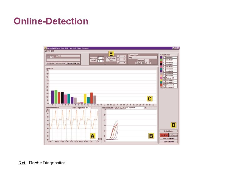 Online-Detection Ref. : Roche Diagnostics 