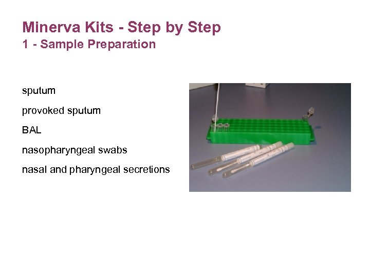 Minerva Kits - Step by Step 1 - Sample Preparation sputum provoked sputum BAL