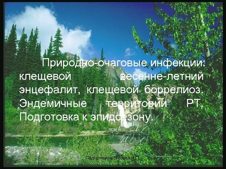 Природно-очаговые инфекции: клещевой весенне-летний энцефалит, клещевой боррелиоз. Эндемичные территории РТ. Подготовка к эпидсезону. Подготовила