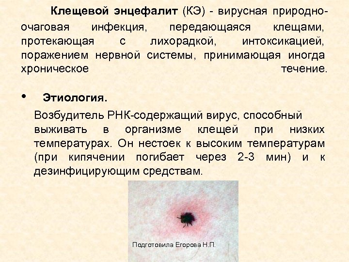  Клещевой энцефалит (КЭ) - вирусная природноочаговая инфекция, передающаяся клещами, протекающая с лихорадкой, интоксикацией,