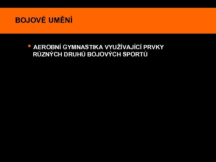 BOJOVÉ UMĚNÍ • AEROBNÍ GYMNASTIKA VYUŽÍVAJÍCÍ PRVKY RŮZNÝCH DRUHŮ BOJOVÝCH SPORTŮ 