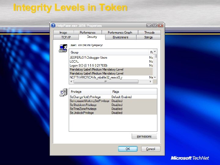 Integrity Levels in Token 