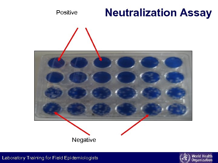 Positive Negative Laboratory Training for Field Epidemiologists Neutralization Assay 