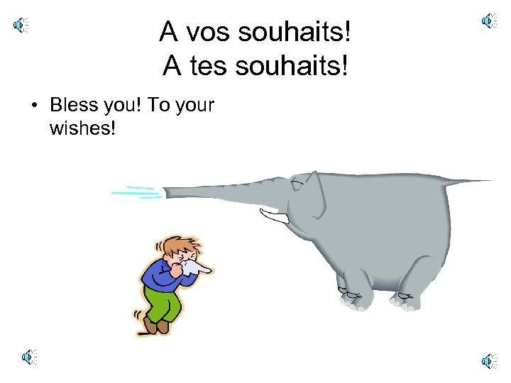 A vos souhaits! A tes souhaits! • Bless you! To your wishes! 