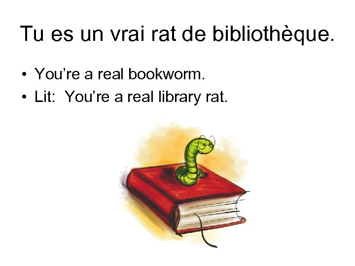 Tu es un vrai rat de bibliothèque. • You’re a real bookworm. • Lit: