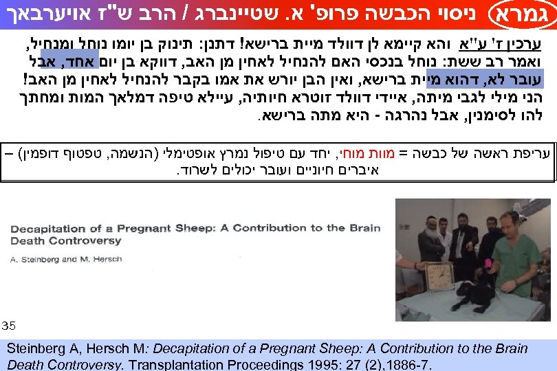  גמרא ניסוי הכבשה פרופ' א. שטיינברג / הרב ש