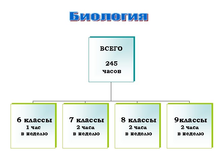 ВСЕГО 245 часов 6 классы 7 классы 8 классы 9 классы 1 час в