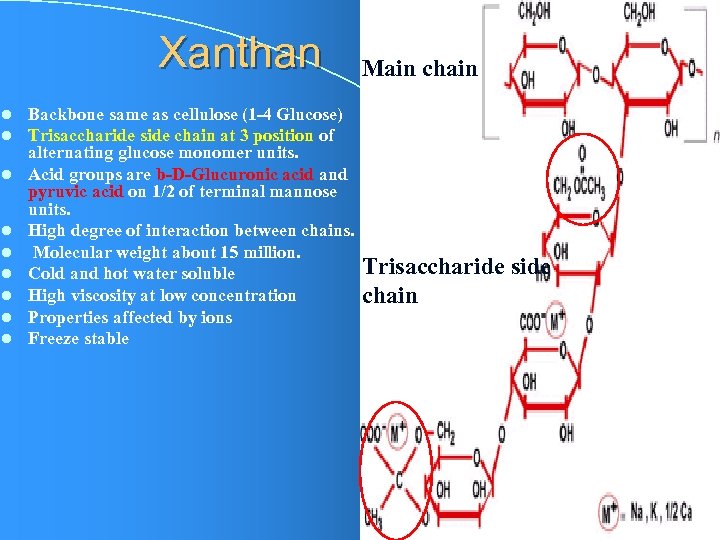 Xanthan l l l l l Backbone same as cellulose (1 -4 Glucose) Trisaccharide