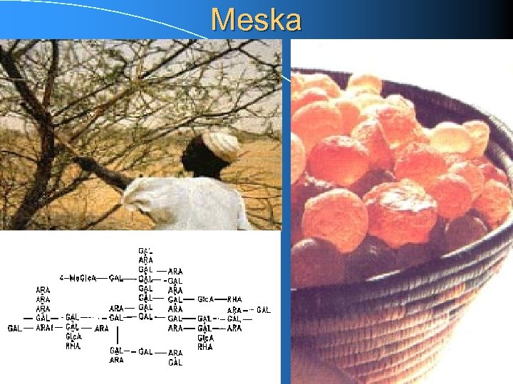 Meska 