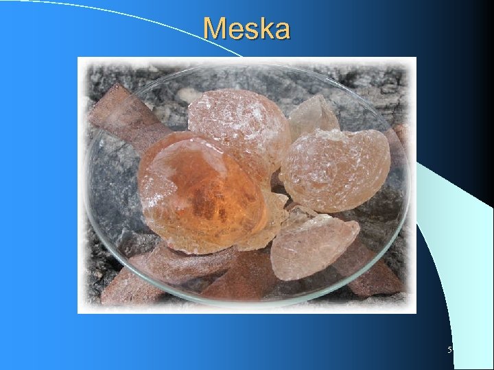 Meska 5 