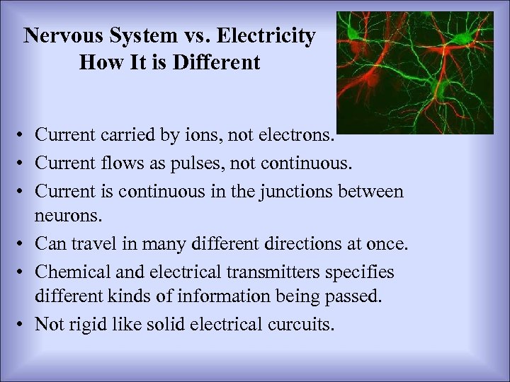 Nervous System vs. Electricity How It is Different • Current carried by ions, not