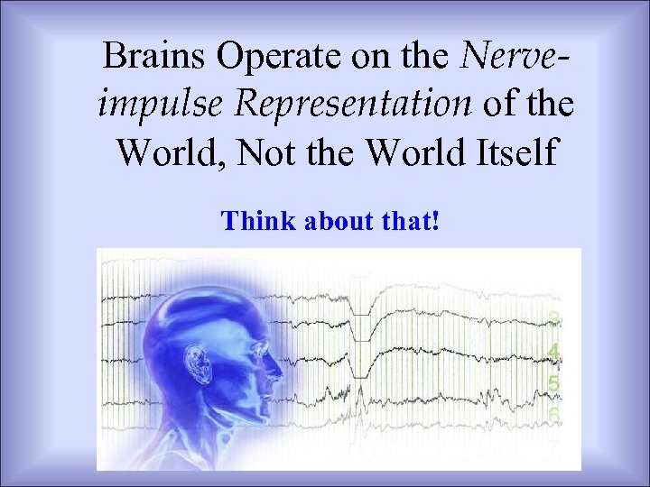 Brains Operate on the Nerveimpulse Representation of the World, Not the World Itself Think
