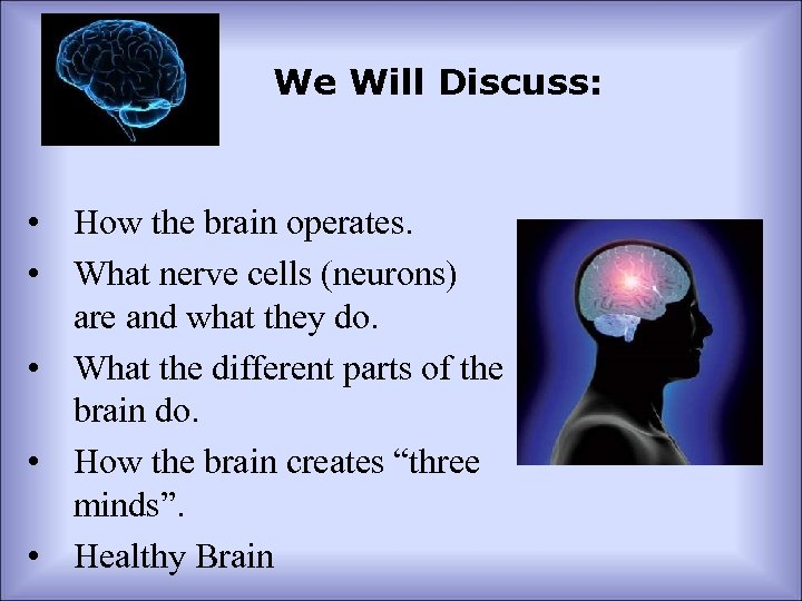 We Will Discuss: • How the brain operates. • What nerve cells (neurons) are