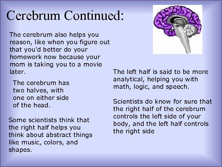 Cerebrum Continued: The cerebrum also helps you reason, like when you figure out that