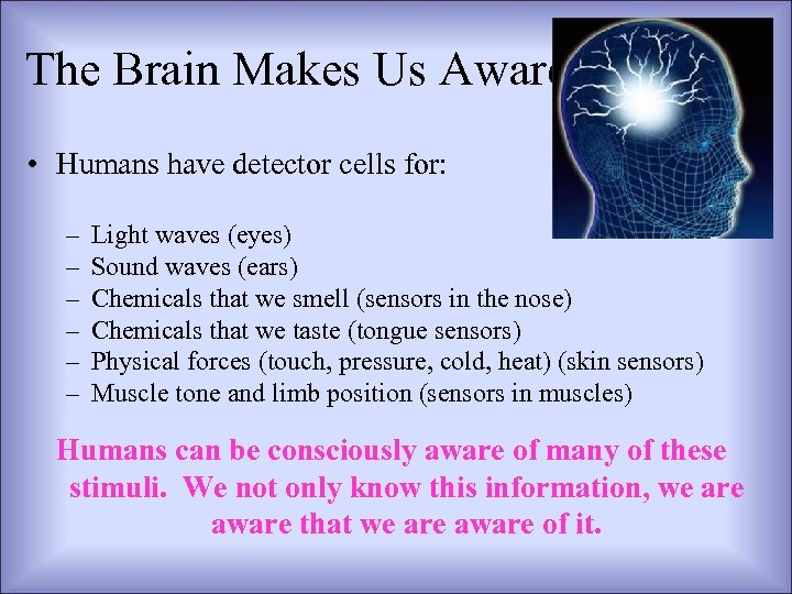 The Brain Makes Us Aware • Humans have detector cells for: – – –