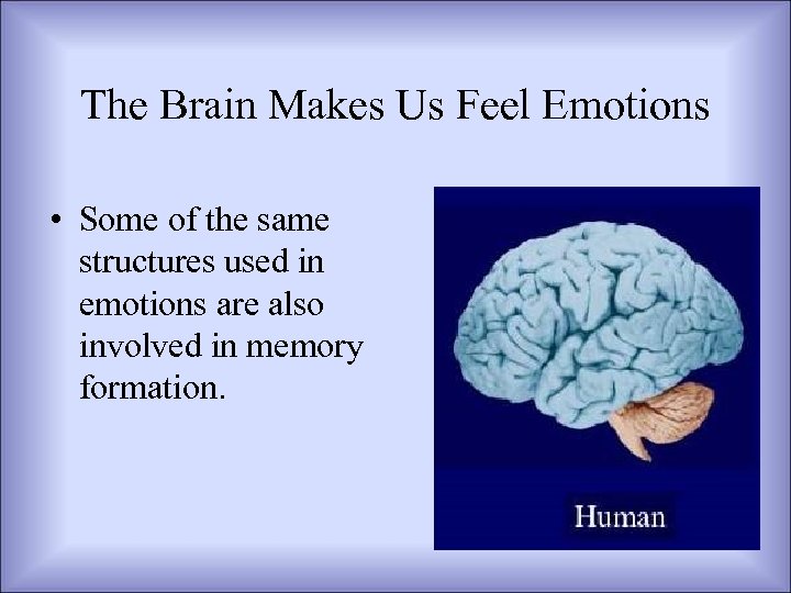 The Brain Makes Us Feel Emotions • Some of the same structures used in