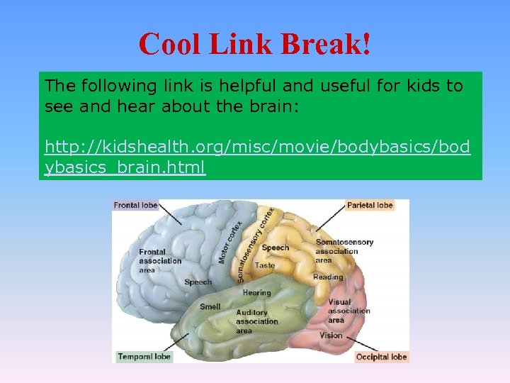 Cool Link Break! The following link is helpful and useful for kids to see