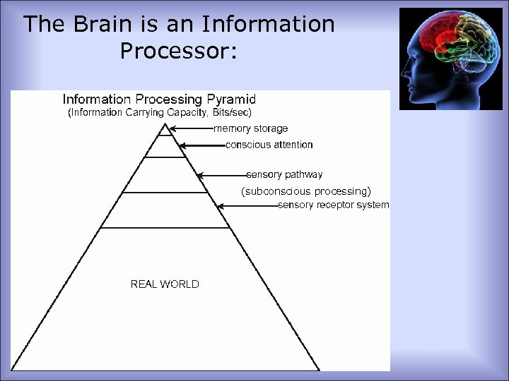 The Brain is an Information Processor: (subconscious processing) 