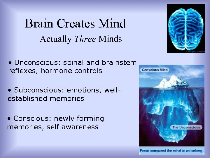 Brain Creates Mind Actually Three Minds • Unconscious: spinal and brainstem reflexes, hormone controls