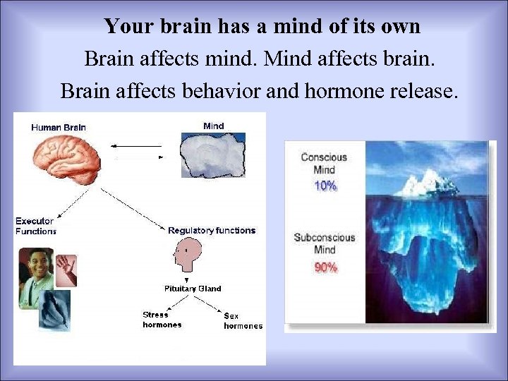 Your brain has a mind of its own Brain affects mind. Mind affects brain.