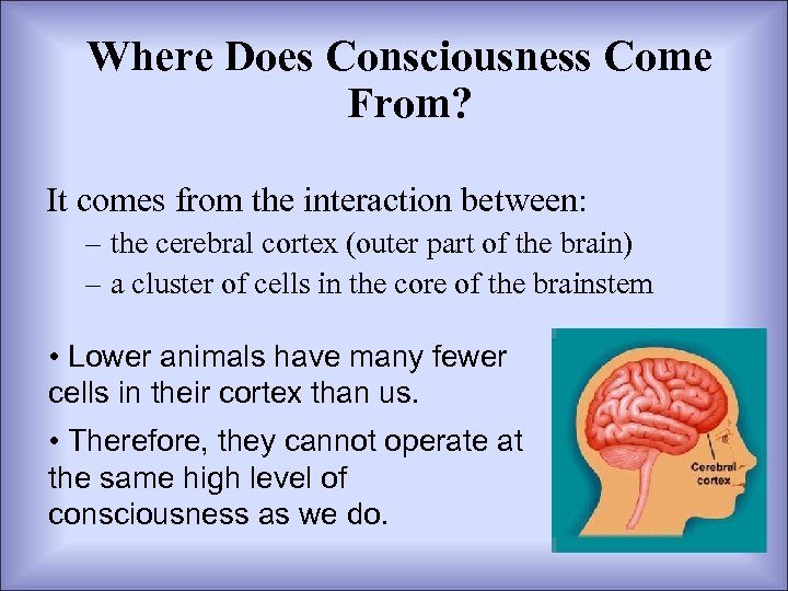 Where Does Consciousness Come From? It comes from the interaction between: – the cerebral