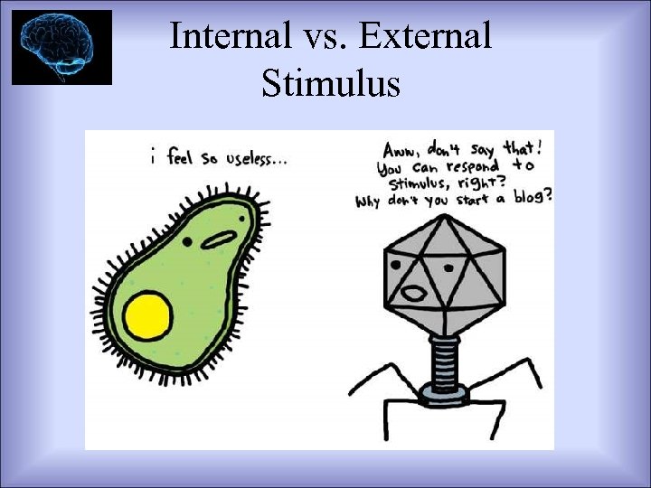 Internal vs. External Stimulus 