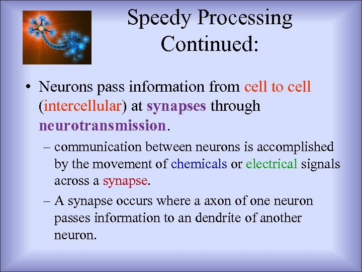 Speedy Processing Continued: • Neurons pass information from cell to cell (intercellular) at synapses